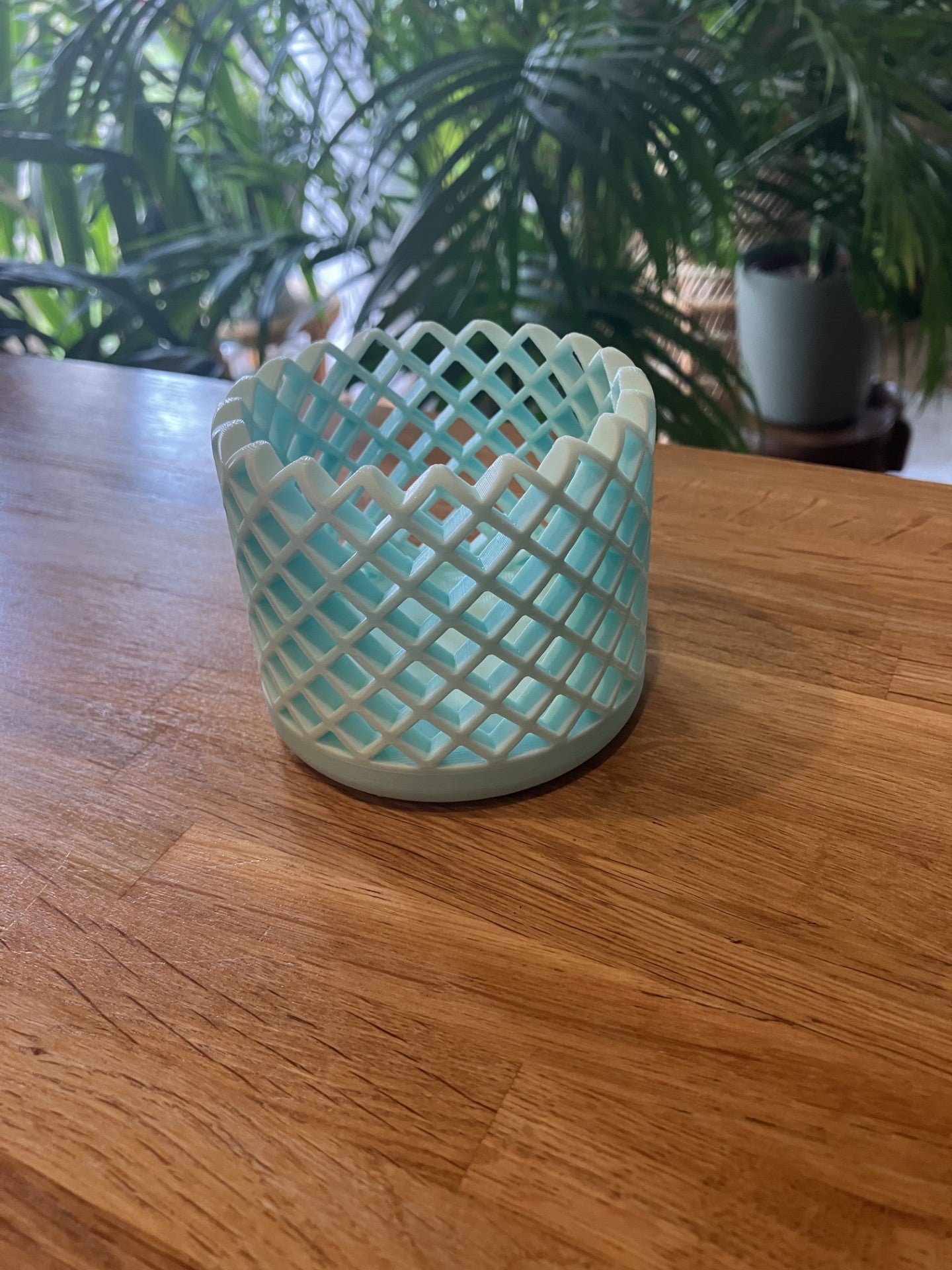 3d printed Reed Diffuser sleeve (mesh) with 100 ml bottle, Reeds with a choice of fragrance and colour