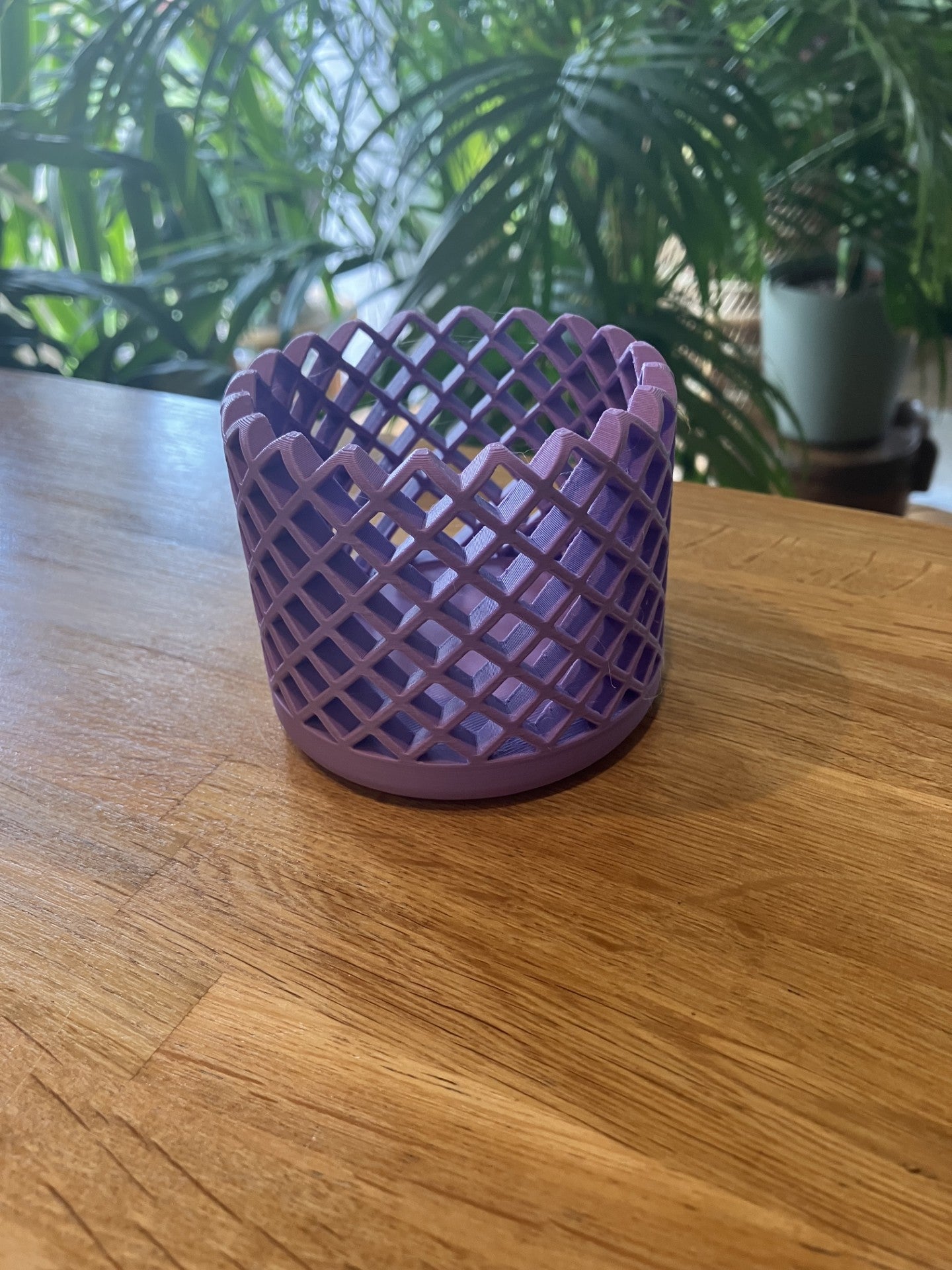 3d printed Reed Diffuser sleeve (mesh) with 100 ml bottle, Reeds with a choice of fragrance and colour